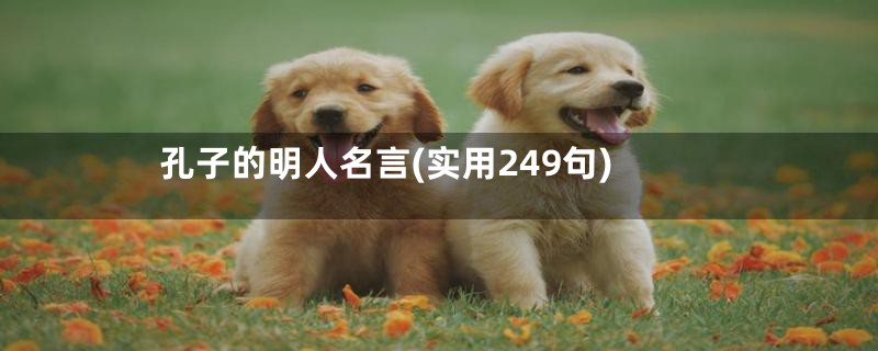 孔子的明人名言(实用249句)