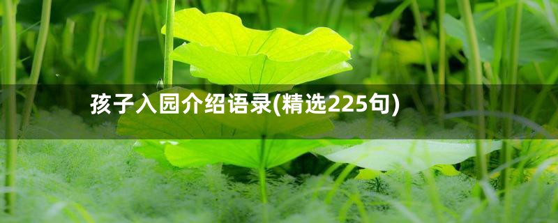 孩子入园介绍语录(精选225句)