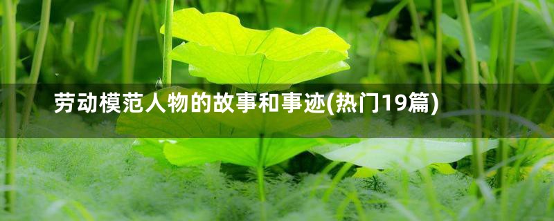 劳动模范人物的故事和事迹(热门19篇)