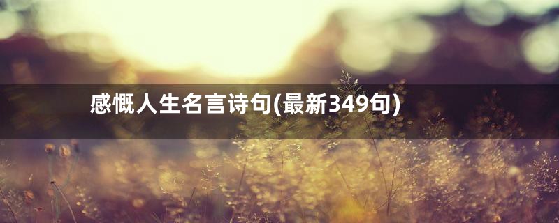 感慨人生名言诗句(最新349句)