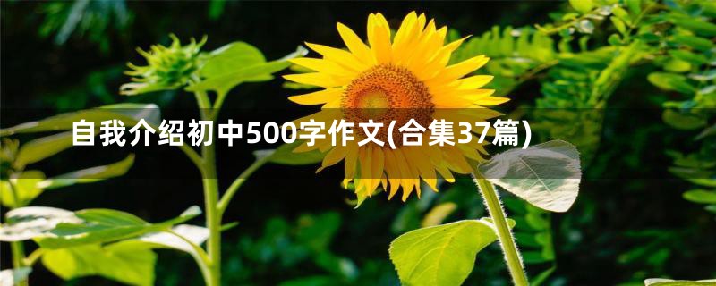 自我介绍初中500字作文(合集37篇)