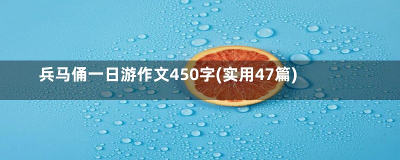 兵马俑一日游作文450字(实用47篇)