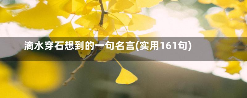 滴水穿石想到的一句名言(实用161句)