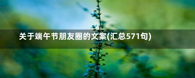 关于端午节朋友圈的文案(汇总571句)