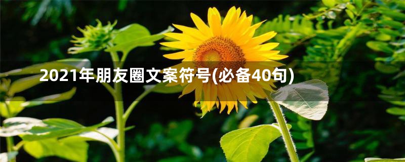 2021年朋友圈文案符号(必备40句)