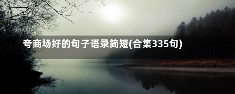 夸商场好的句子语录简短(合集335句)