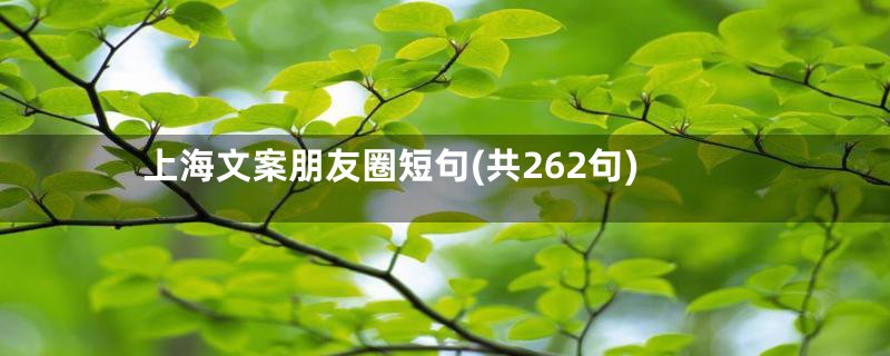 上海文案朋友圈短句(共262句)