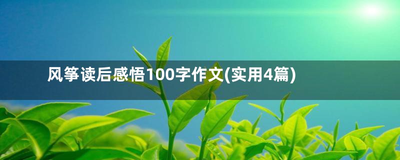 风筝读后感悟100字作文(实用4篇)