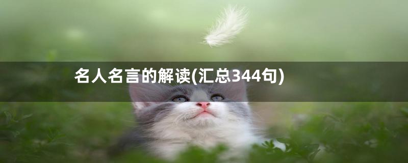 名人名言的解读(汇总344句)