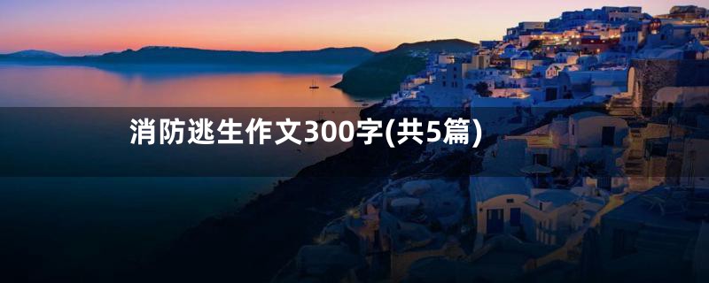 消防逃生作文300字(共5篇)