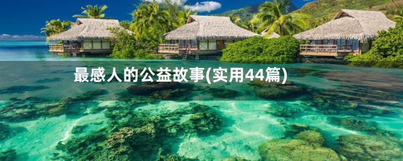 最感人的公益故事(实用44篇)