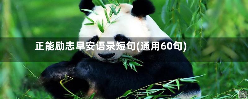 正能励志早安语录短句(通用60句)