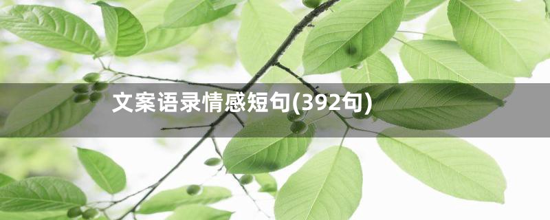 文案语录情感短句(392句)