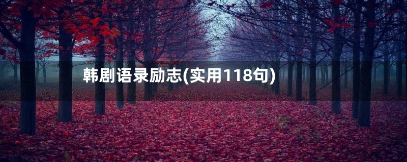 韩剧语录励志(实用118句)