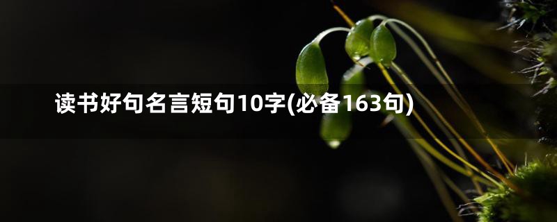 读书好句名言短句10字(必备163句)