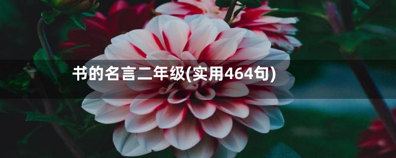 书的名言二年级(实用464句)