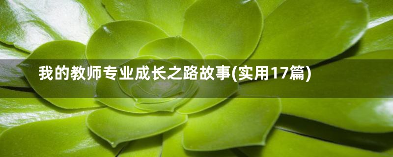 我的教师专业成长之路故事(实用17篇)