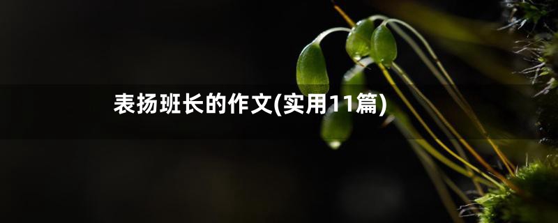 表扬班长的作文(实用11篇)