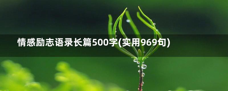 情感励志语录长篇500字(实用969句)