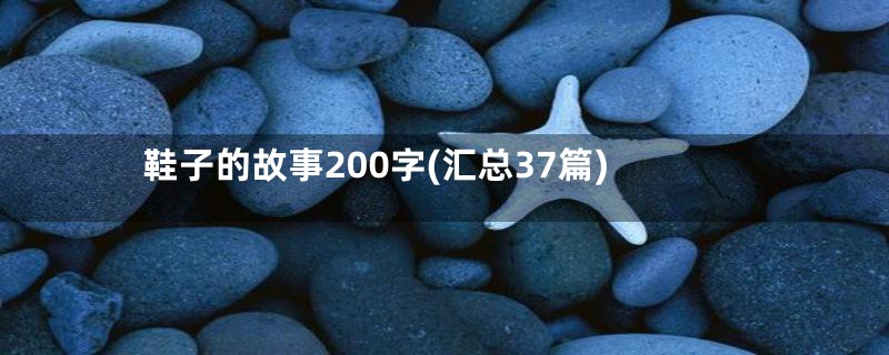 鞋子的故事200字(汇总37篇)