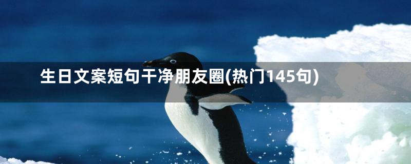 生日文案短句干净朋友圈(热门145句)