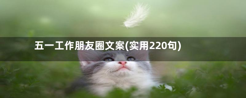 五一工作朋友圈文案(实用220句)