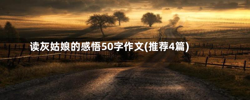 读灰姑娘的感悟50字作文(推荐4篇)