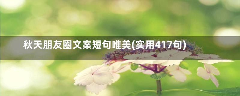 秋天朋友圈文案短句唯美(实用417句)