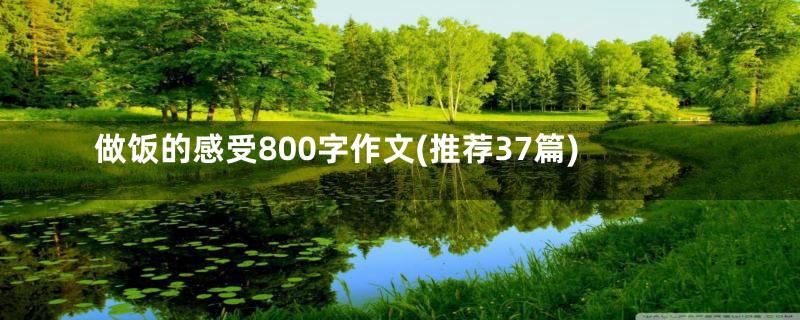 做饭的感受800字作文(推荐37篇)