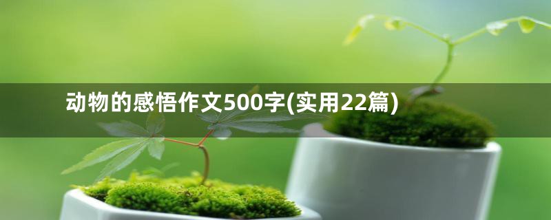 动物的感悟作文500字(实用22篇)