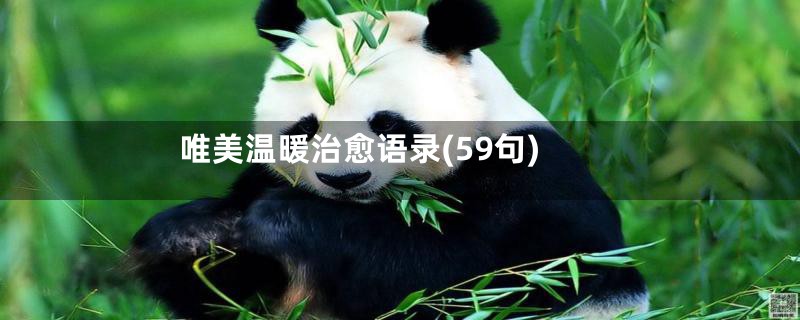 唯美温暖治愈语录(59句)