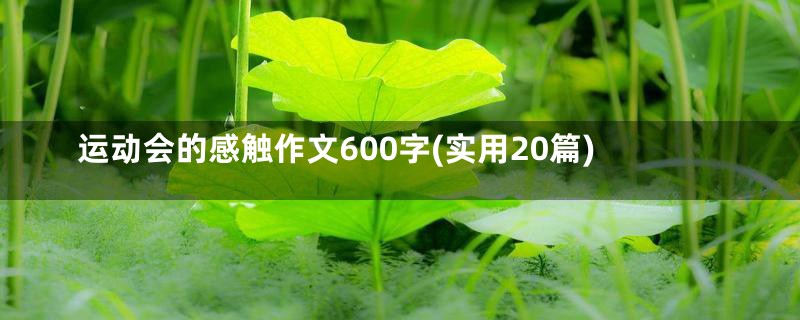 运动会的感触作文600字(实用20篇)