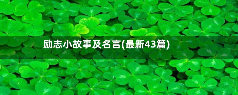 励志小故事及名言(最新43篇)