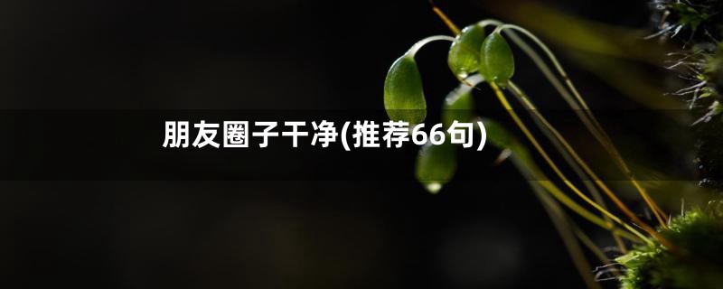 朋友圈子干净(推荐66句)