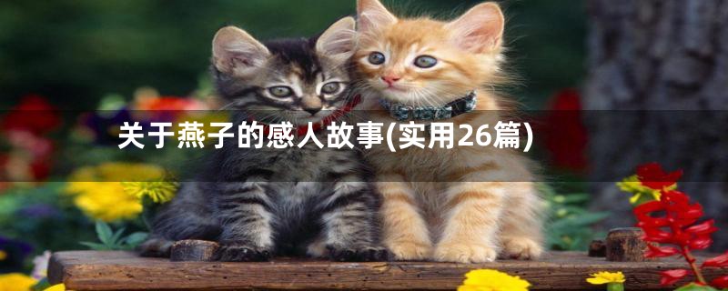 关于燕子的感人故事(实用26篇)