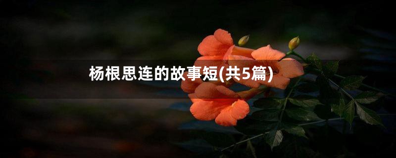 杨根思连的故事短(共5篇)