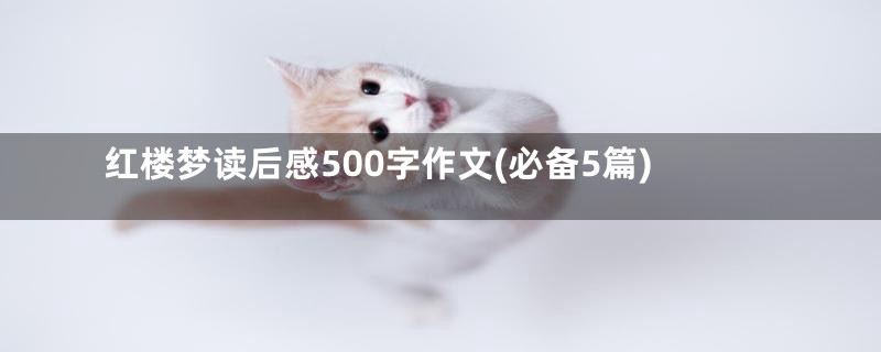 红楼梦读后感500字作文(必备5篇)