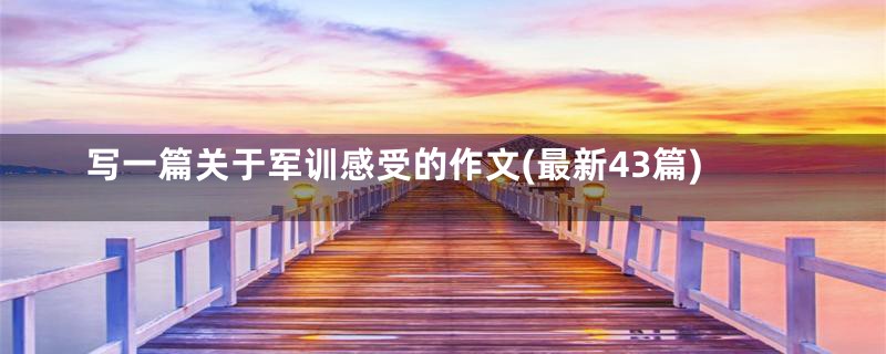 写一篇关于军训感受的作文(最新43篇)