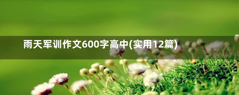 雨天军训作文600字高中(实用12篇)