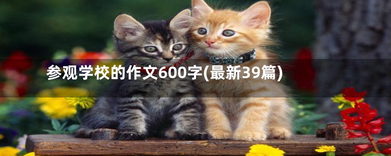 参观学校的作文600字(最新39篇)