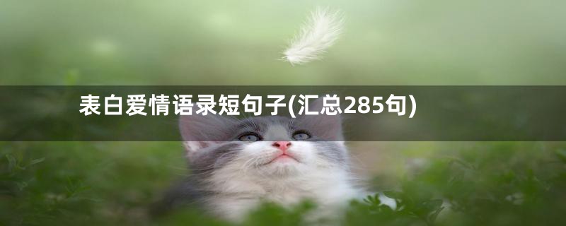 表白爱情语录短句子(汇总285句)