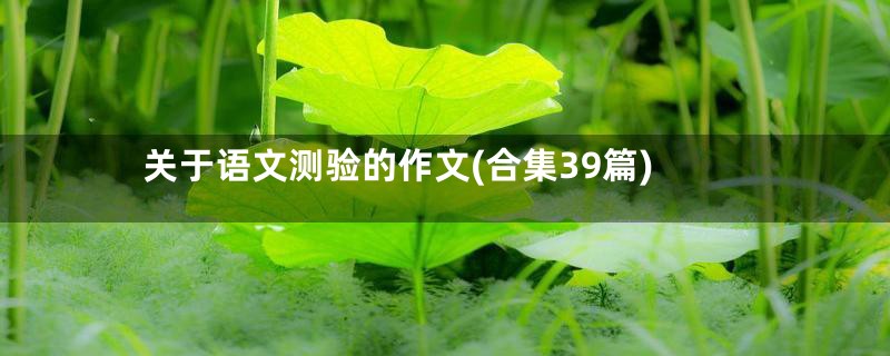 关于语文测验的作文(合集39篇)