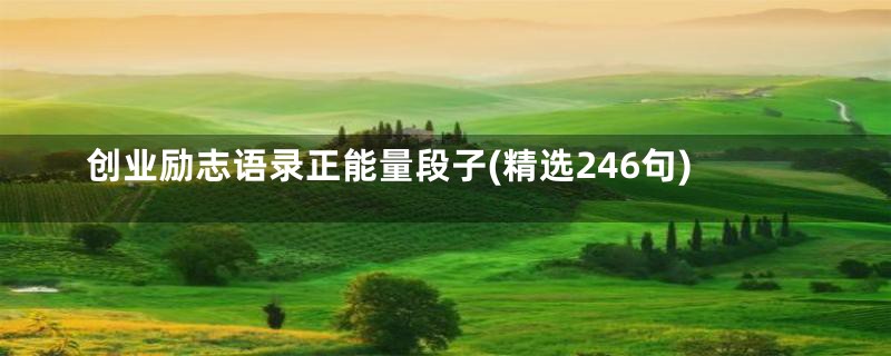 创业励志语录正能量段子(精选246句)