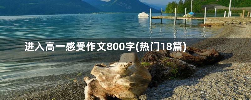 进入高一感受作文800字(热门18篇)