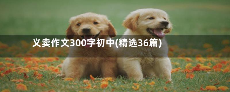 义卖作文300字初中(精选36篇)