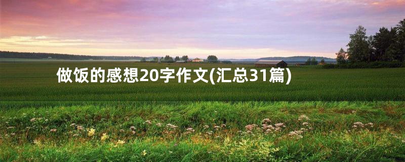 做饭的感想20字作文(汇总31篇)