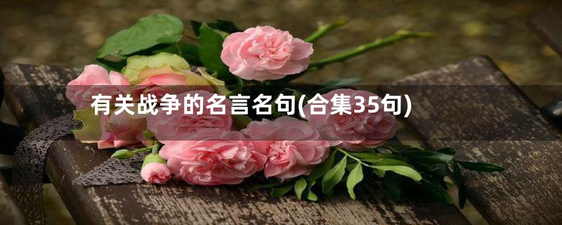 有关战争的名言名句(合集35句)