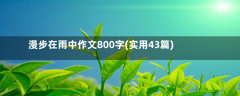 漫步在雨中作文800字(实用43篇)