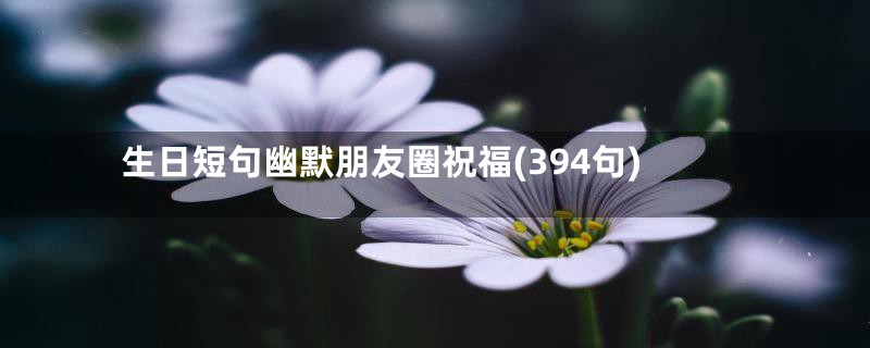 生日短句幽默朋友圈祝福(394句)