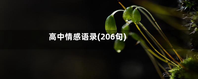 高中情感语录(206句)